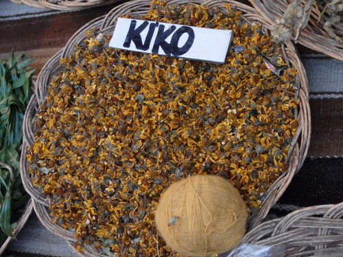 Níko, the plant.
